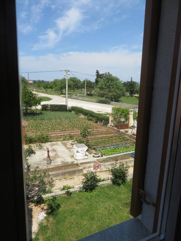 Filipovic Apartments With Pool 비오그라드나모루 외부 사진
